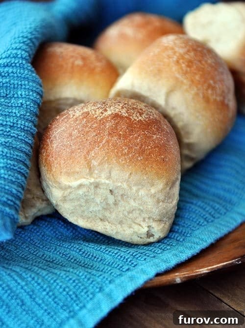 Golden-brown, perfectly cooked whole wheat dinner rolls resting on a blue kitchen towel, ready to be served.