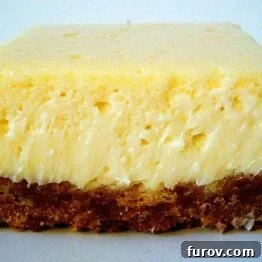 Close-up of a perfectly baked cheesecake bar with a rich, golden crust and a smooth, creamy top.