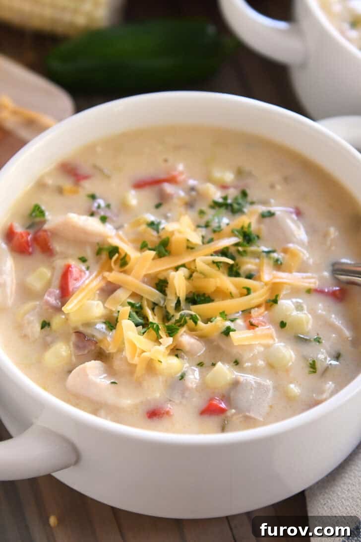 Top down view of a white bowl filled with a creamy chicken chowder and topped with chopped parsley and shredded cheese.