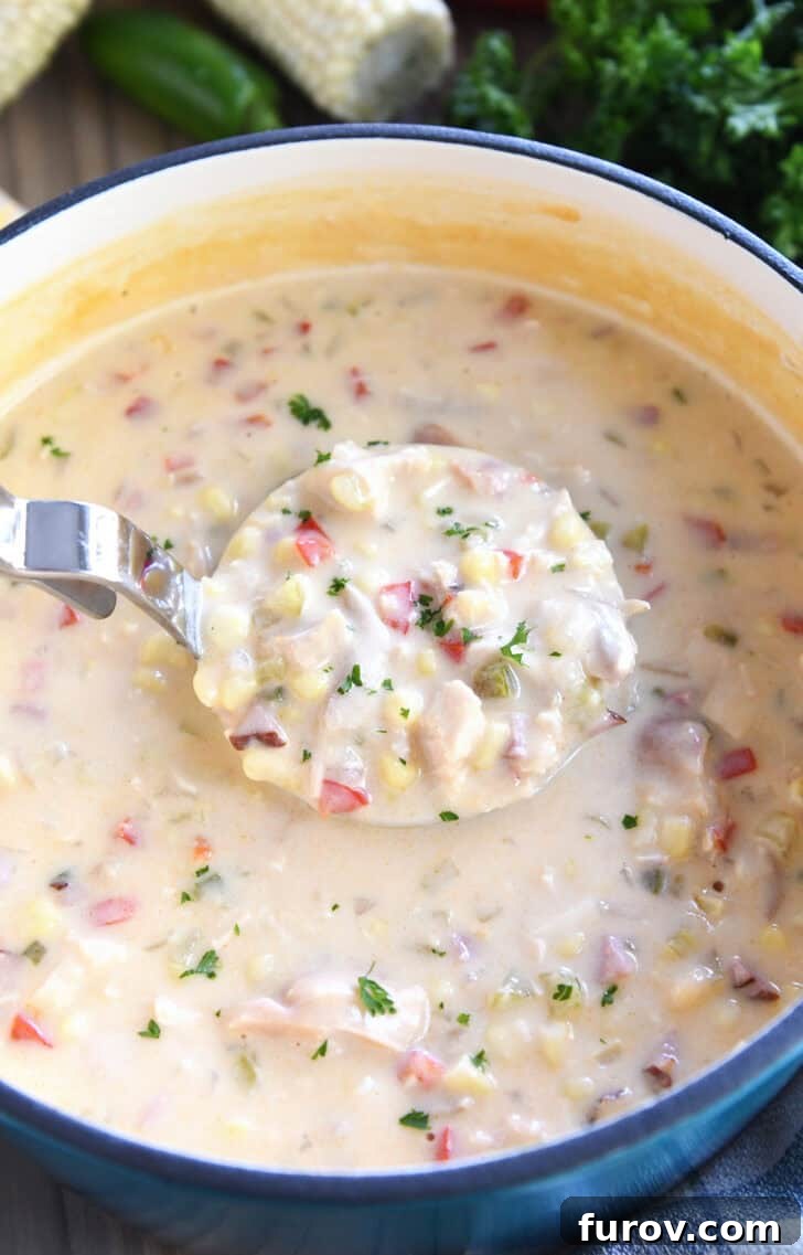 A metal ladle filled with a creamy chicken and vegetable soup over the top of a pot of the same soup.