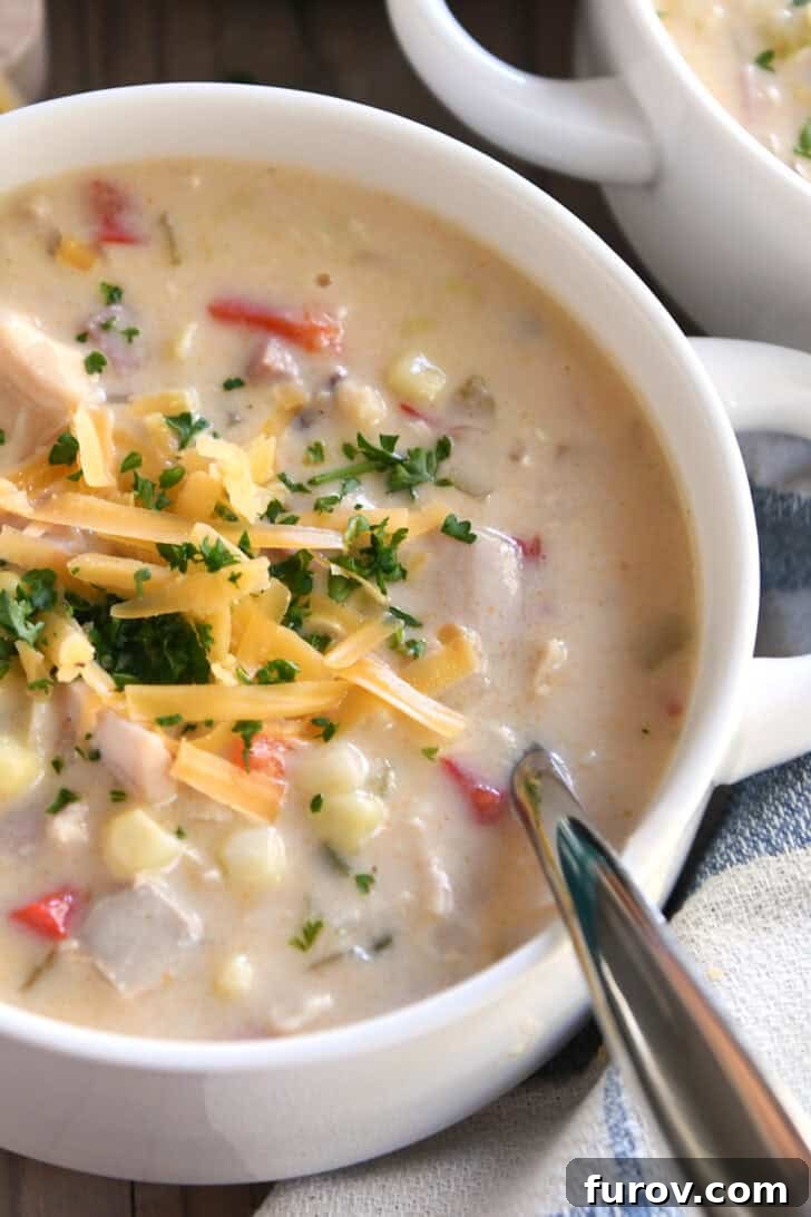 Top down view of a white bowl filled with chicken corn chowder topped with shredded cheese and parsley.