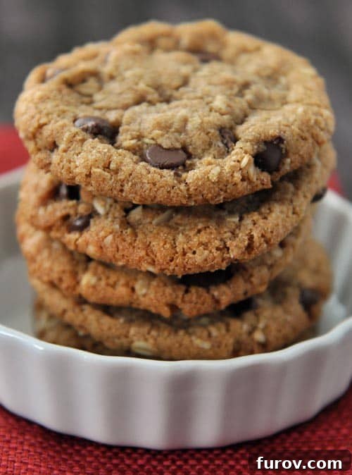 Stacked whole wheat coconut oil chocolate chip oatmeal cookies in a white ramekin, showcasing their inviting texture and rich color.