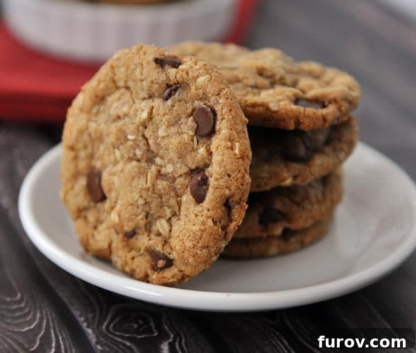 A white plate showcasing a beautiful stack of whole wheat coconut oil chocolate chip oatmeal cookies, with one leaning casually on the stack, inviting a taste.