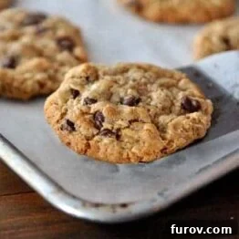 Freshly baked Whole Wheat Coconut Oil Chocolate Chip Oatmeal Cookies cooling on a rack.