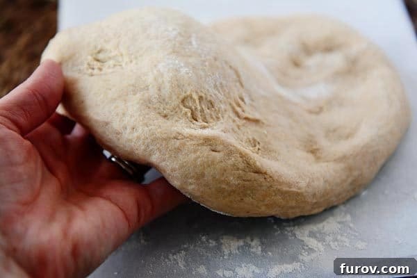 Hand holding an uncooked round of whole wheat pizza dough, perfectly stretched and ready for toppings.