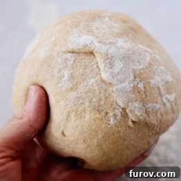 Overnight Whole Wheat Pizza Dough