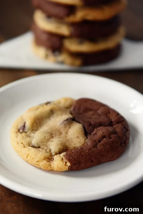 Double Delight Brownie Cookies 2 A cookie with half brownie, half chocolate chip cookie on a white plate, and a stack of the same cookies in the background.