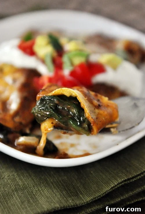 A perfectly cooked spinach and cheese enchilada on a fork, showing the creamy filling and melted cheese, with more enchiladas in the background.