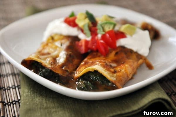 Two vibrant spinach and cheese enchiladas garnished with fresh sour cream, diced tomatoes, and sliced avocados on a pristine white plate.