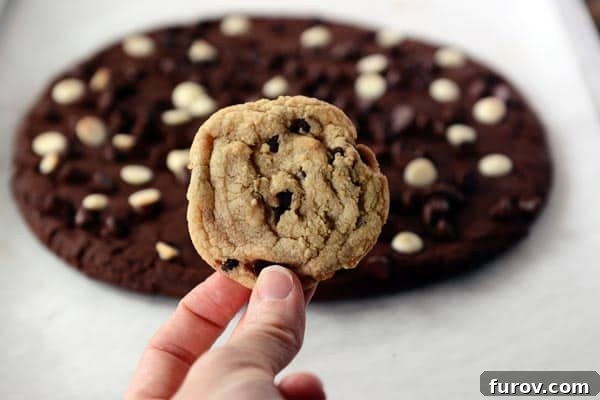 A small chocolate chip cookie being held up in front of a giant chocolate cookie, highlighting the size difference.