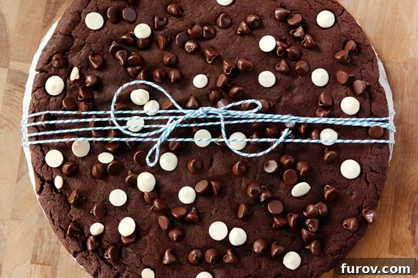 A giant chocolate cookie adorned with a festive blue and white ribbon, ready to be given as a thoughtful gift.