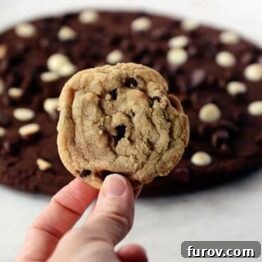 Close-up of a giant double chocolate cookie, showcasing its rich texture and chocolate chips.