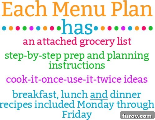 Example list of meals from one of the back to school menu plans