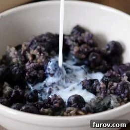 Hearty Blueberry Almond Baked Steel Cut Oats 4 img 28196 3