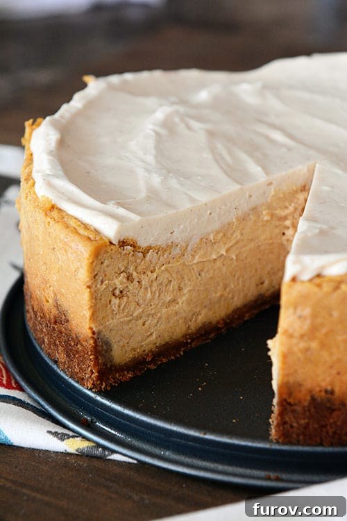 Autumn Delight Pumpkin White Chocolate Mousse Cheesecake Eggless and Gluten-Free Friendly 4 A whole pumpkin white chocolate cheesecake with a single slice elegantly removed, revealing its layers.