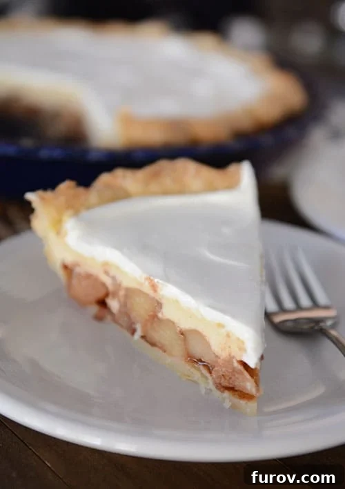 A perfectly sliced Apple Cheesecake Pie featuring distinct layers of golden pie crust, a rich cheesecake filling, and tender spiced apples, topped with a dollop of whipped cream on a pristine white plate, inviting a delightful dessert experience.