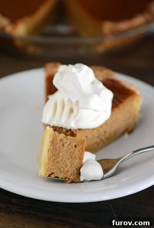 A fork taking a bite from a slice of classic pumpkin pie topped with a generous dollop of fluffy whipped cream.