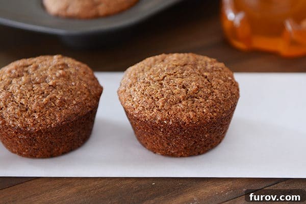 Two perfectly golden-brown Whole Grain Honey Bran Muffins resting side-by-side, showcasing their inviting texture and wholesome goodness.