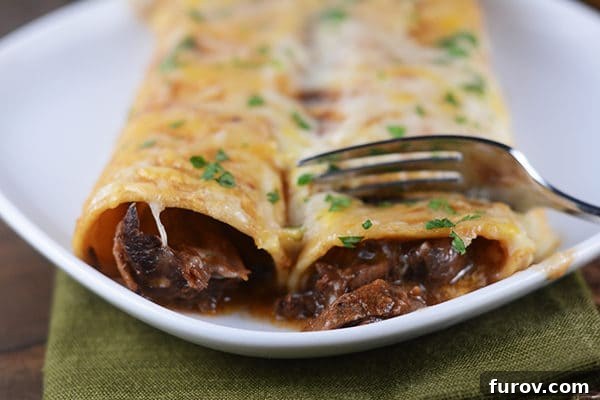 Two yellow corn tortilla enchiladas with melted cheese and chopped cilantro sprinkled over the top, and beef peeking out the ends. 