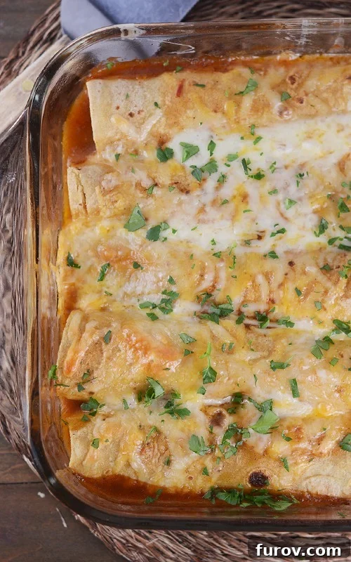 A pan full of corn-tortilla enchiladas sprinkled with melted cheese and chopped cilantro.