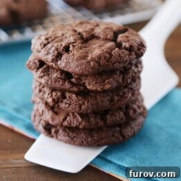 Soft Double Chocolate Chip Cookies {Egg-Free}
