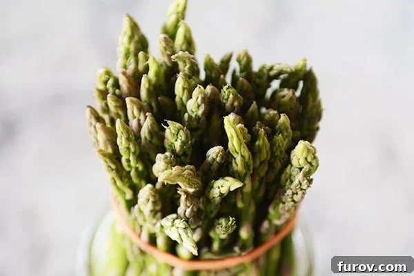 Long-Lasting Asparagus: Simple Storage Secrets 2 A top view of a rubber-banded bunch of asparagus.