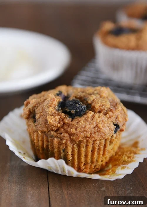 Spiced Wholesome Pumpkin Blueberry Muffins 2 A perfectly baked whole grain pumpkin blueberry muffin in a white paper liner, showcasing its golden-brown top and speckled blueberries.