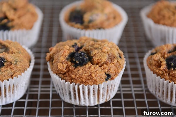 Spiced Wholesome Pumpkin Blueberry Muffins 3 Freshly baked blueberry pumpkin muffins cooling on a wire rack, still in their white liners, with a golden-brown crumb.