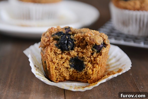 Spiced Wholesome Pumpkin Blueberry Muffins 4 A close-up of a blueberry pumpkin muffin with a bite taken out, revealing its moist interior and generous distribution of blueberries.
