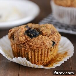 Spiced Wholesome Pumpkin Blueberry Muffins 5 Whole Wheat Pumpkin Blueberry Muffin