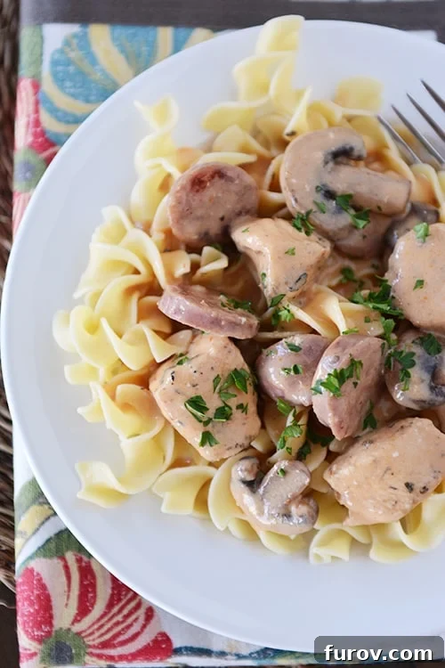 Top view of a white plate with cooked egg noodles topped with cajun chicken stroganoff, garnished with fresh herbs.