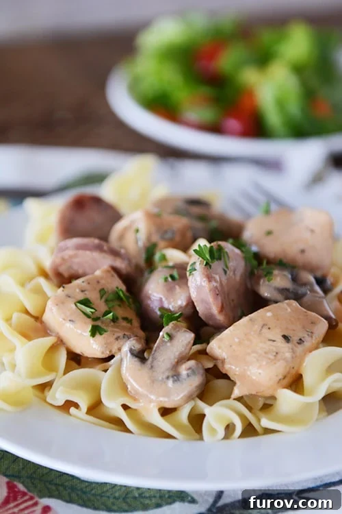 A serving of Cajun chicken stroganoff with mushrooms and egg noodles on a white dinner plate.