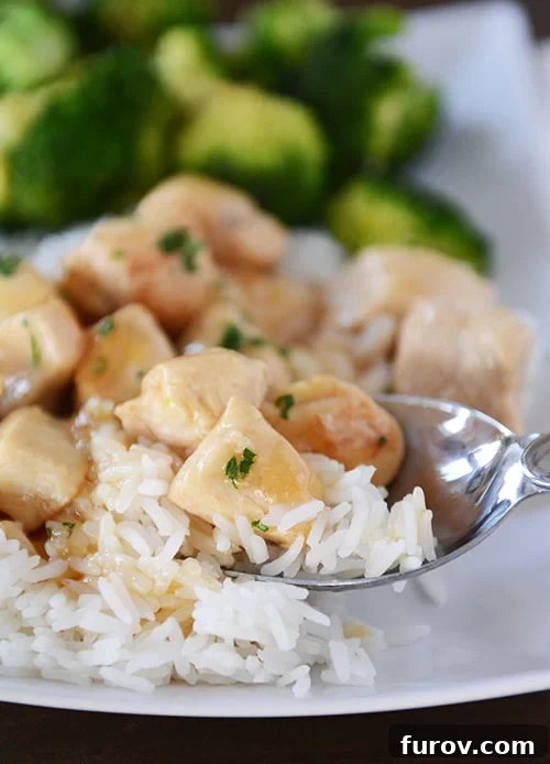 A spoon taking a bite of cooked white rice and lemon-glazed chicken. 