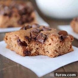 Chocolate Chip Applesauce Snack Cake