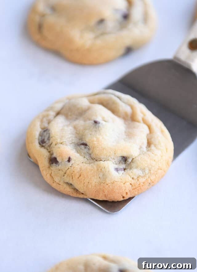 Golden chocolate chip cookie on metal spatula.