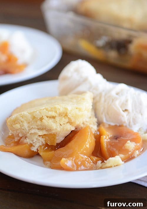 Classic peach cobbler with a golden biscuit topping, served with two scoops of creamy vanilla ice cream on a white plate, highlighting its comforting appeal.