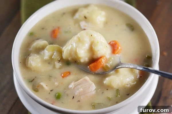 Cozy Chicken and Veggie Dumpling Soup 8 Chicken and Dumpling Soup with a spoon, ready to eat.