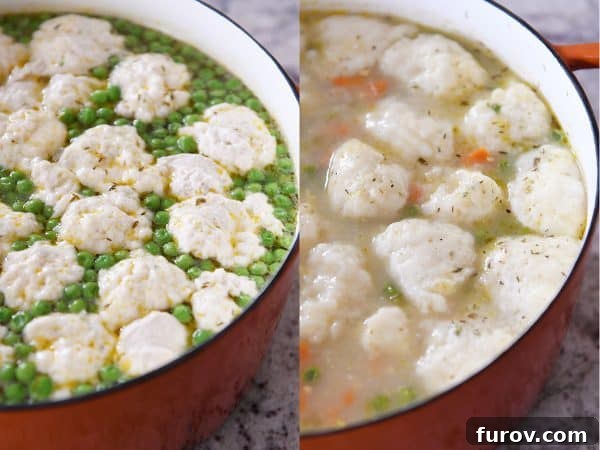 Cozy Chicken and Veggie Dumpling Soup 5 Side by side comparison of uncooked dumpling batter and fully cooked, puffed up dumplings.