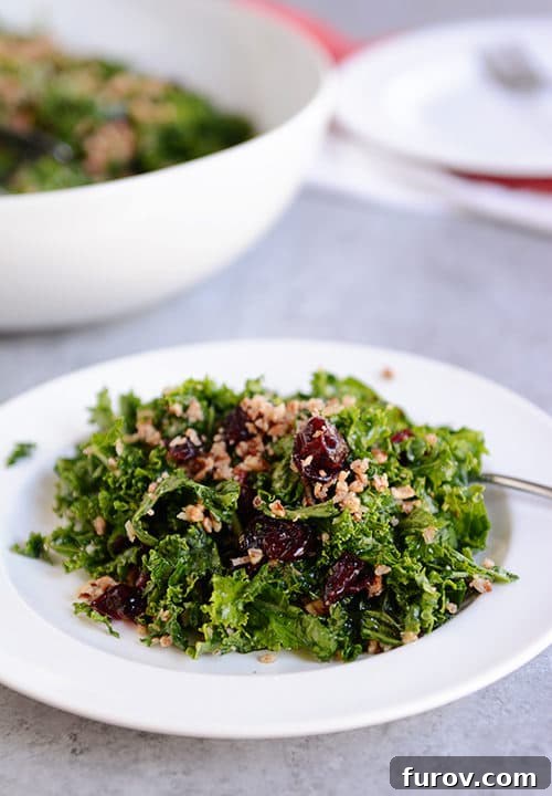 Signature Kale Salad Lemon Vinaigrette and Pecan Parmesan 5 A large, inviting portion of cranberry pecan kale salad artfully arranged on a white plate, showcasing the rich colors and textures of the dish.