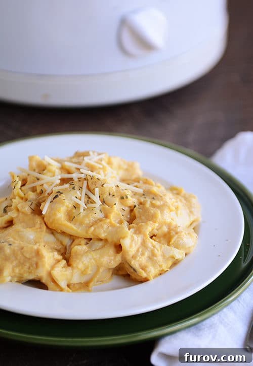 A white plate full of butternut squash tortellini topped with parmesan cheese, highlighting the rich, creamy sauce and tender pasta.