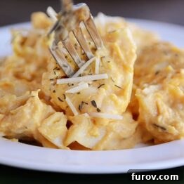A close-up of slow cooker butternut squash tortellini on a plate, ready to be served.