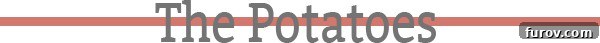 Thanksgiving potato dishes