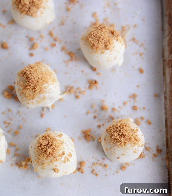 Top view of graham cracker dusted white chocolate truffles on a cookie sheet, perfectly round and ready for serving.