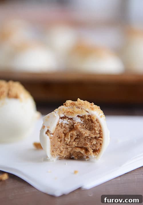 A white chocolate dipped gingerbread truffle with a bite taken out, revealing the creamy interior.