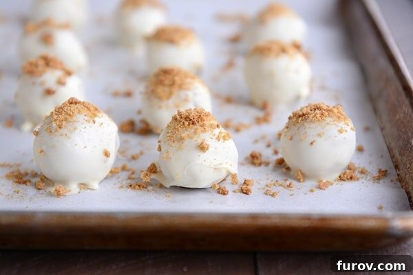 White chocolate truffles with crushed graham cracker on top on a cookie sheet, ready for final chilling.