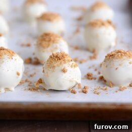 White chocolate truffles with crushed graham cracker on top on a cookie sheet.