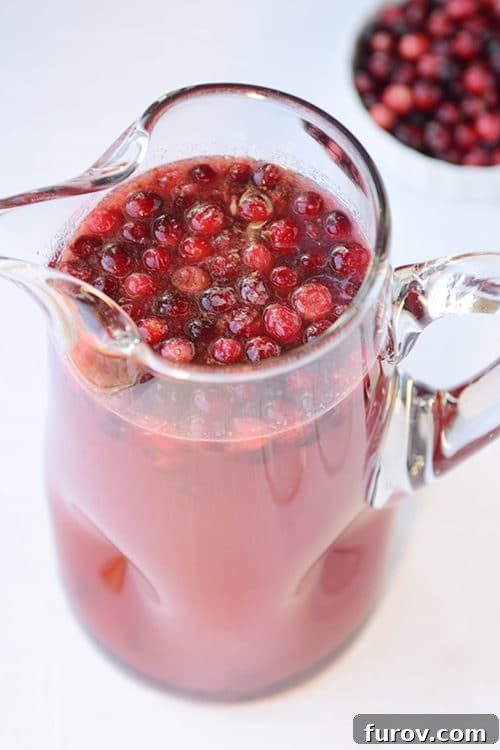 A pitcher full of red punch with cranberries floating on top, and a bowl of cranberries in the background. 