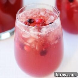 Sparkling Cranberry Apple Cider Punch