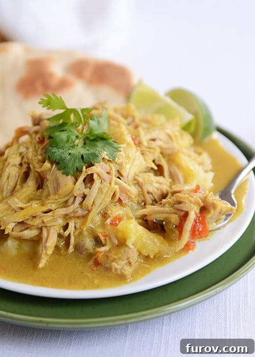 A white plate with saucy shredded pork curry and a flatbread. Delicious slow cooker coconut curry pork served with flatbread.