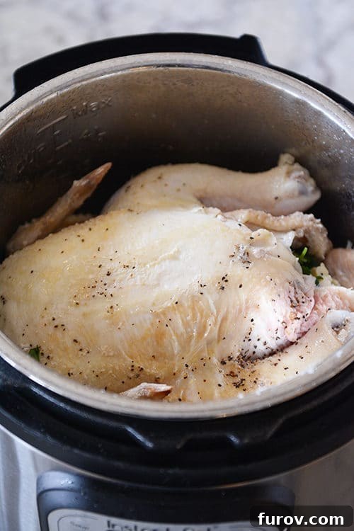 A cooked and seasoned whole chicken inside of an Instant Pot. 